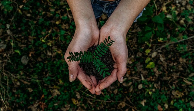 Eco Sustainable Materials & Timber