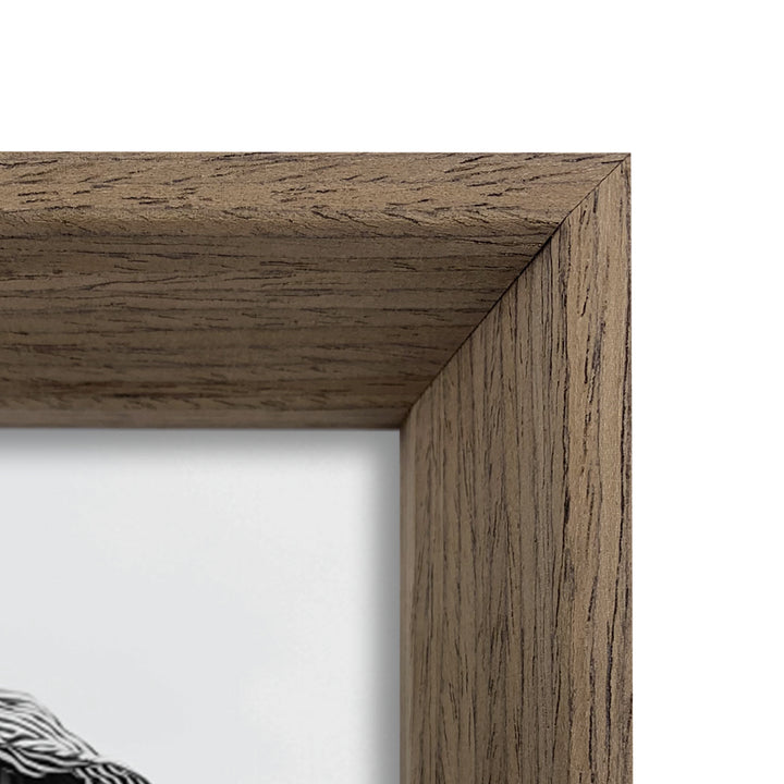 Studio Nova Mosman 5x7in Chestnut Photo Box Frame Set of 3